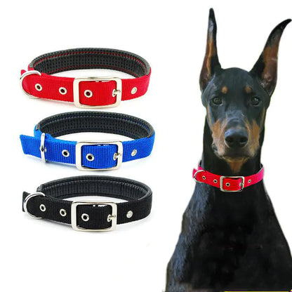 Collares para Perros Medianos y Grandes de Todas las Razas