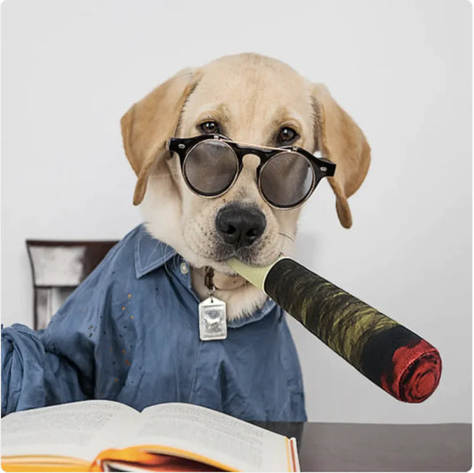 Juguetes Caninos para Bromas - Cigarrillos Falsos para Mascotas