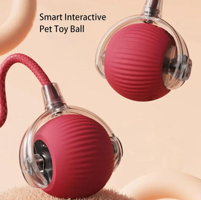 Juguete Bola para Gatos con Cuerda