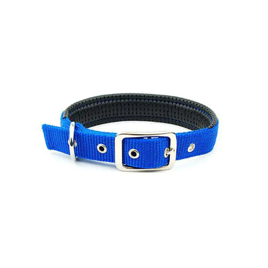 Collares para Perros Medianos y Grandes de Todas las Razas