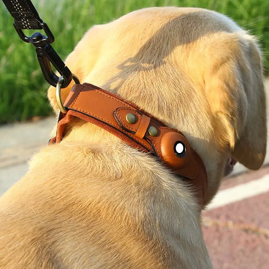 Collar para Perro de Cuero con Localizador