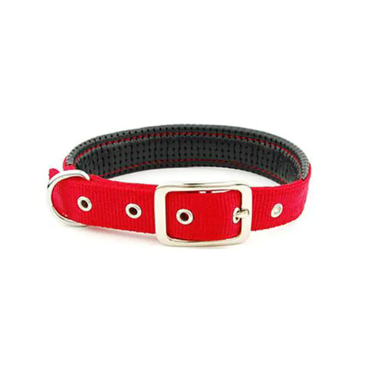 Collares para Perros Medianos y Grandes de Todas las Razas
