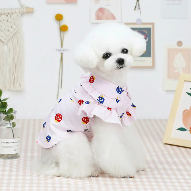 Ropa Ligera para Cachorros