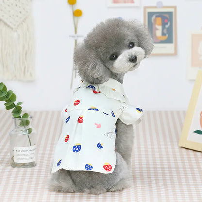Ropa Ligera para Cachorros