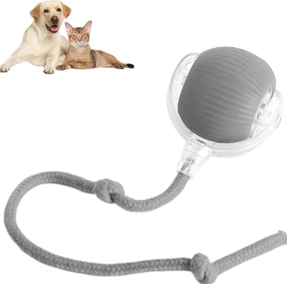 Juguete Bola para Gatos con Cuerda