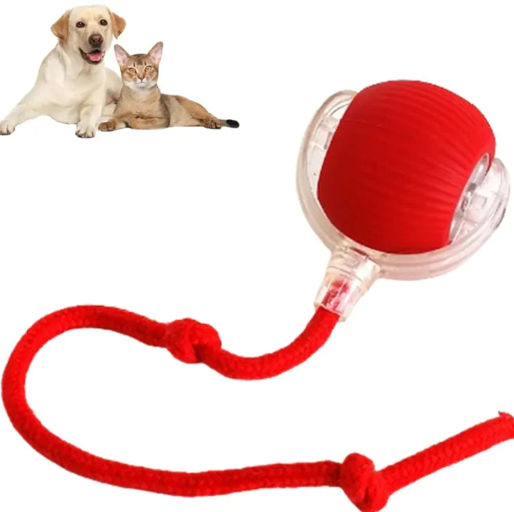 Juguete Bola para Gatos con Cuerda
