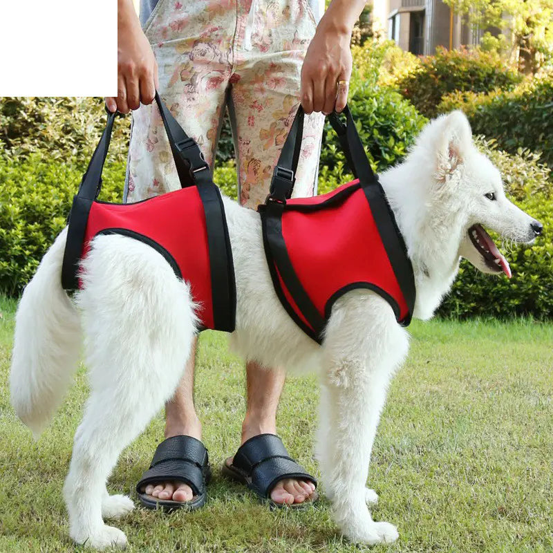 Cinturón de Asistencia para Patas Traseras de Perros Ancianos para el Soporte de Mascotas