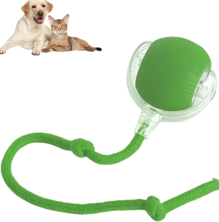 Juguete Bola para Gatos con Cuerda