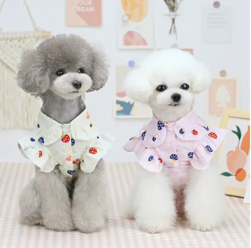 Ropa Ligera para Cachorros